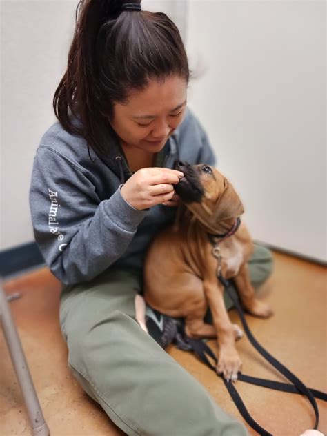 Fear Free – Animal Care Clinic