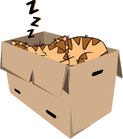 Cat Box Sleep Free Vector Graphic On Pixabay