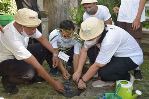 Penanaman Juta Pohon Mangrove Menko Pmk Memerangi Dampak Negatif