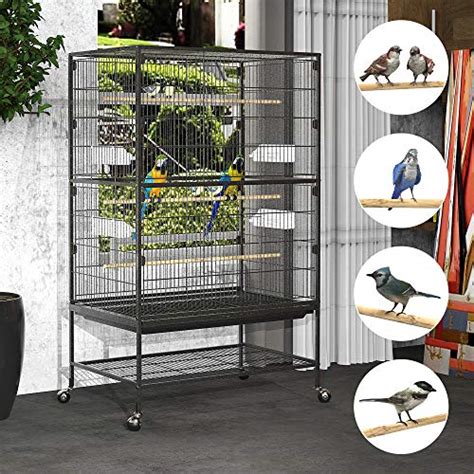 Yintatech Cage Oiseaux En Fer Forg De Cm Pour Grand Calopsitte