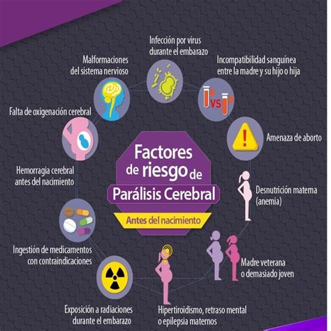 Par Lisis Cerebral Qu Es Causas S Ntomas Tratamiento Y Consejos