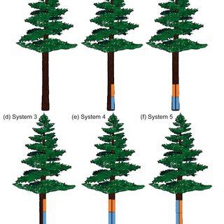 Schematic Illustration Of Control Group And Five Resin Tapping Systems