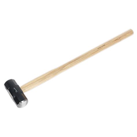 10lb Sledge Hammer With Hickory Shaft Slh10 Sealey