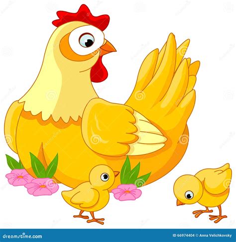 Hen And Chicks Stock Vector Image 66974404