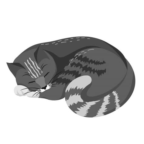 Sleeping Black Cat Cartoon