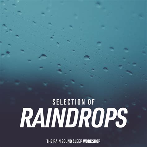 Selection Of Raindrops Album By The Rain Sound Sleep Workshop Spotify