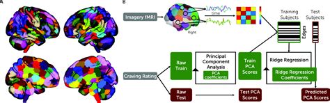 Transdiagnostic Connectome Based Prediction Of Craving American