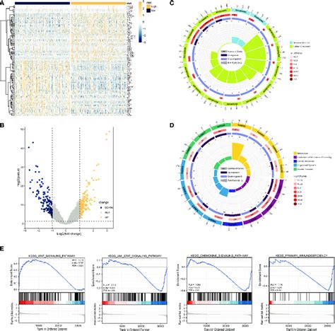 Deg Analysis And Functional Enrichment Analysis Based On The