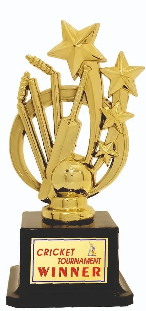 Golden Cricket Trophy At Best Price In Jalandhar ID 2852812614788