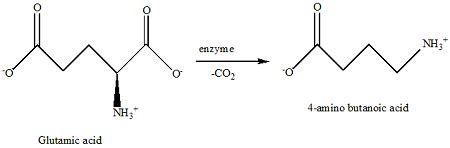 If glutamic acid is decarboxylated by an enzyme, it produces 4-aminobutanoic acid. What is the ...