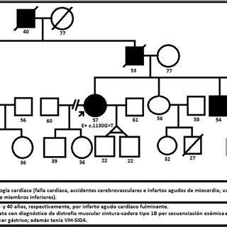 Familiograma que ilustra enfermedad genética con patrón de herencia
