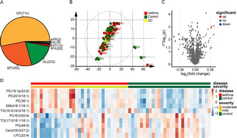 Lipid Species Identified By Lipidomics A Identification Of Lipid Download Scientific Diagram