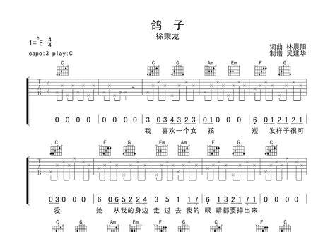 鸽子吉他谱徐秉龙c调弹唱100单曲版 吉他世界