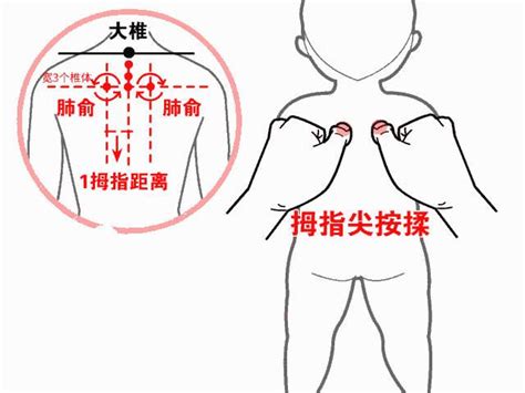 小儿推拿杨晓：宝宝咳嗽之阴虚咳嗽的小儿推拿常用穴位手法