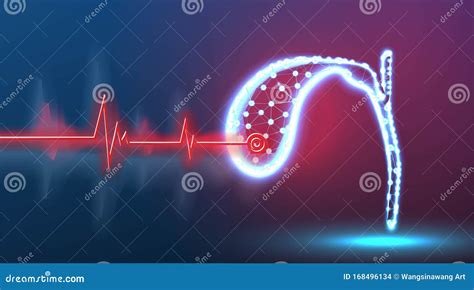 Diagnosis Of Gallbladder For Presence Of Disease Point Of Disease
