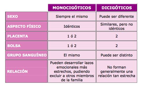 Por Qué Nacen Gemelos Qué Son Gemelos Idénticos Y Qué Mellizos