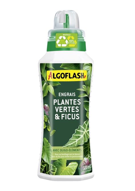 Algoflash Engrais Plantes Vertes Et Ficus 500 Ml Gamm Vert