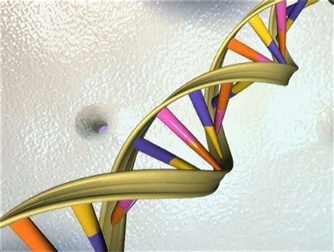 Human Genome Decoded With Pocket Sized Device