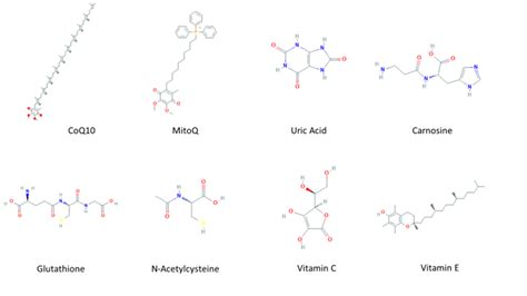 Non Enzymatic Antioxidants Encyclopedia Mdpi