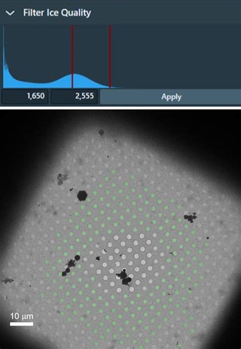 Routine Collection Of High Resolution Cryo Em Datasets Using 200 Kv Transmission Electron Microscope