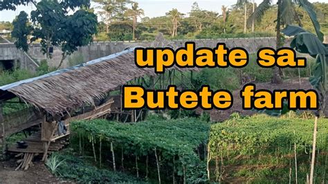 Kumusta Na Nga Ba Ang Butete Farm Ngayon Update