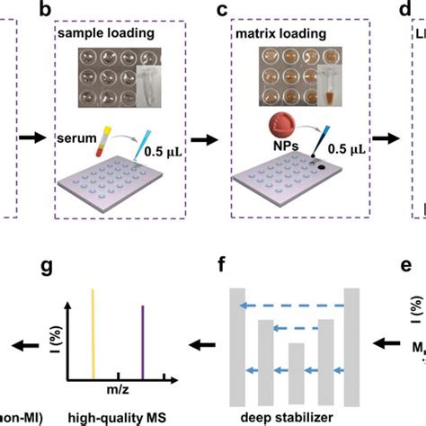 Schematic For An Ultrafast Label And Antibodyfree Serum Metabolic