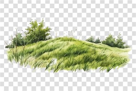 Png Grassland Landscape Outdoors Nature Premium Ai Generated Psd