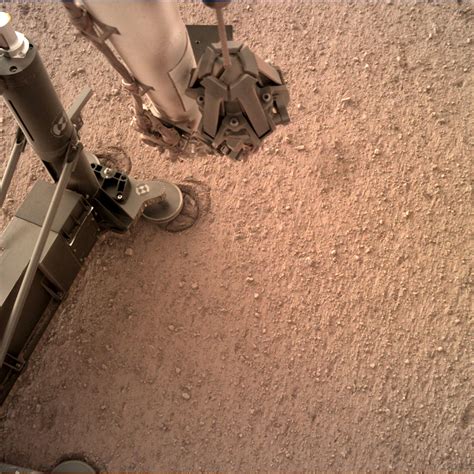 Insights Mole On Mars Mixed News