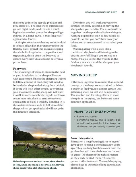 Keeping Sheep The Crowood Press