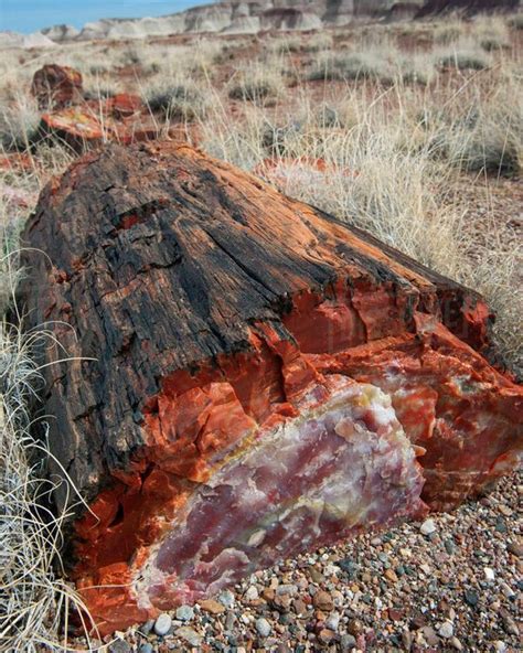 Visit Escalante Petrified Forest State Park And Hike The Sleeping