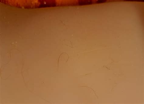 How To Clean A Sex Doll Different Ways Bedbible