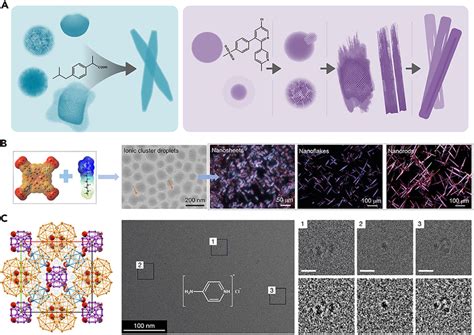 Llps Mediated Self Assembly Of Other Small Organic Molecules A Download Scientific Diagram