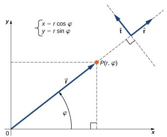 3.5: Coordinate Systems and Components of a Vector (Part 2) - Physics LibreTexts