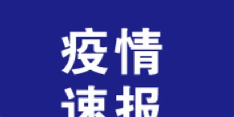 湖北新增本土确诊病例2例 新增境外输入确诊病例1例 手机新浪网