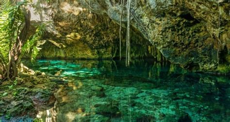 Gran Cenote Tulum - One Of The Most Beautiful Cenotes In Tulum