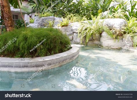 1,847 Corner Swimming Pool Images, Stock Photos & Vectors | Shutterstock