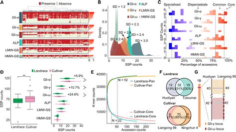 A K Mer Based Pangenome Approach For Cataloging Seed Storage Protein