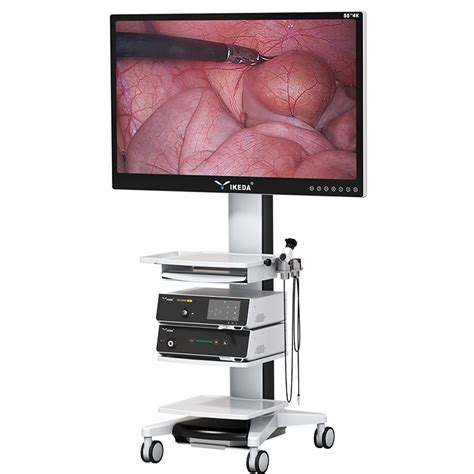 Clinical Application Of Endoscope Monitor