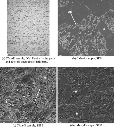 Om And Sem Micrographs Nital 2 Etching F Ferrite Ae Eutetoid