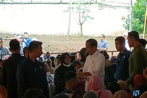 Harga Cabai Dan Tomat Mahal Jokowi Minta Masyarakat Tanam Sendiri