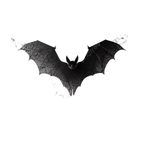 Realistic Bat Outline PNG Vector PSD And Clipart With Transparent