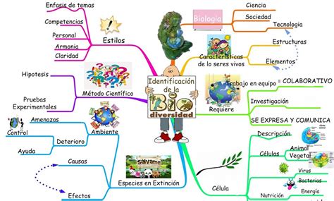 Mapa Mental Sobre Biodiversidade Gsmbrain Porn Sex Picture