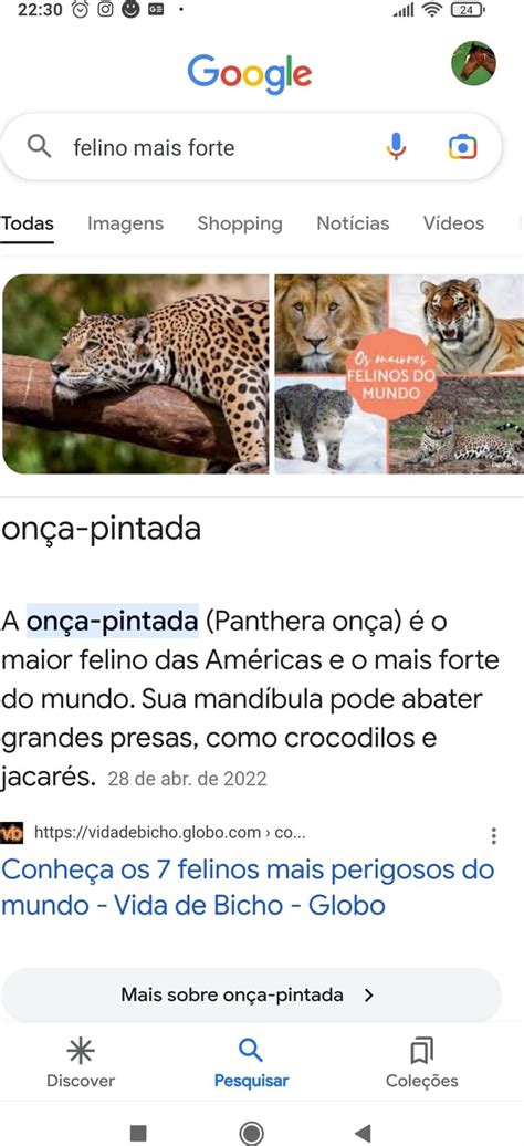 Go gle Q felino mais forte URO Todas Imagens Shopping Notícias Vídeos