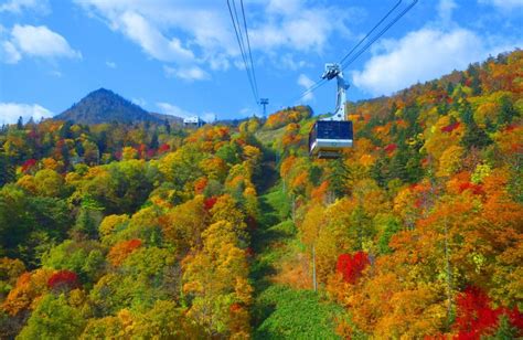 UU Hokkaido_Autumn Leaf Spots in Furano