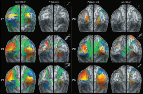 Retinotopic Maps And Phase Phase Plots For Six Participants P7 12