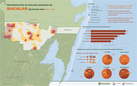idefor cnf gob mx 2 La deforestación en Quintana Roo