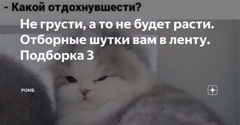 Не грусти, а то не будет расти. Отборные шутки вам в ленту. Подборка 3 ...