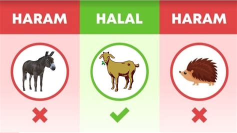 Haram And Halal Food In Islam Explained Haram Vs Halal Food Part 1