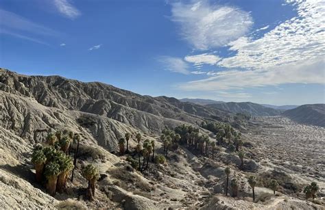 10 Best hikes and trails in Coachella Valley Preserve | AllTrails