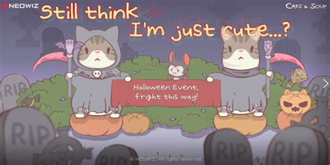 Cats&Soup introduces their Halloween event, bringing in a new kitty ...